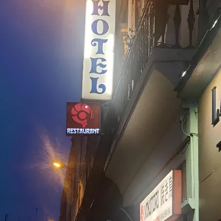 德斯莱切斯酒店 - 酒店